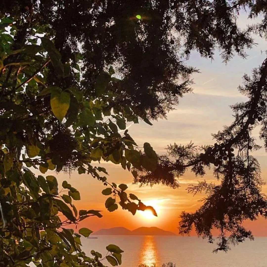Hotel Villa Gaudium Vlore